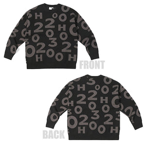 DIGITAL CREW NECK KNIT PULLOVER SWEATER